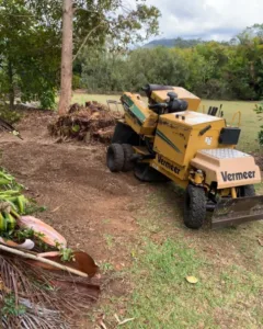 Stump Grinding