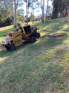 stump removal sunshine coast