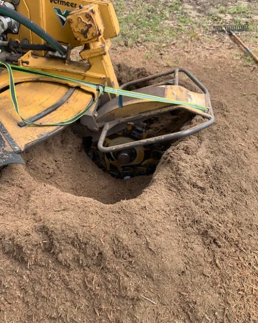 tree stump grinding